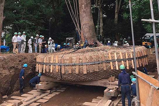 «نماواشی» مراسم سنتی ژاپنی‌ها برای احترام به طبیعت